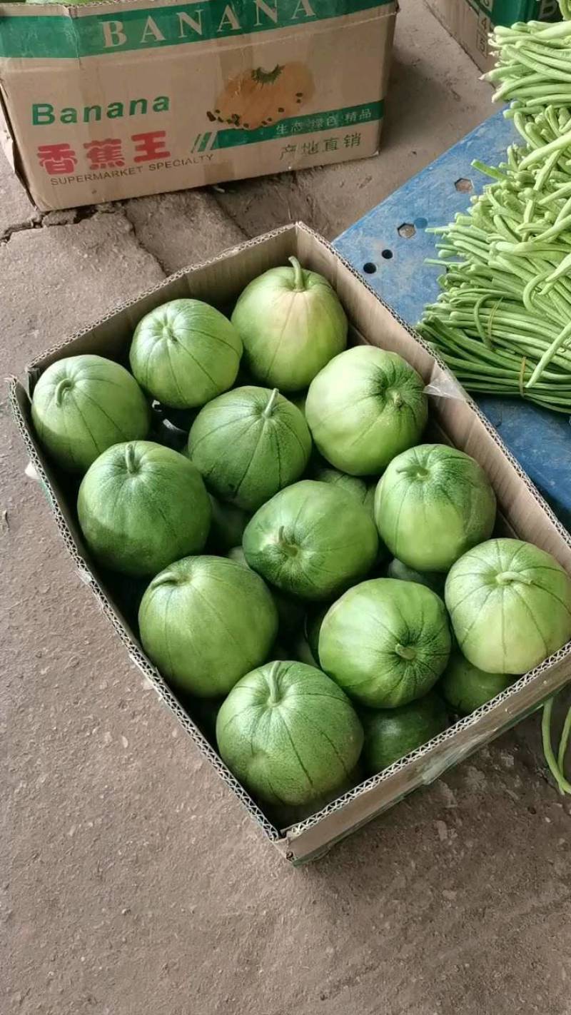 湖北宜昌甜宝甜瓜大量上市中，口感精品甜度，对接电商超市！