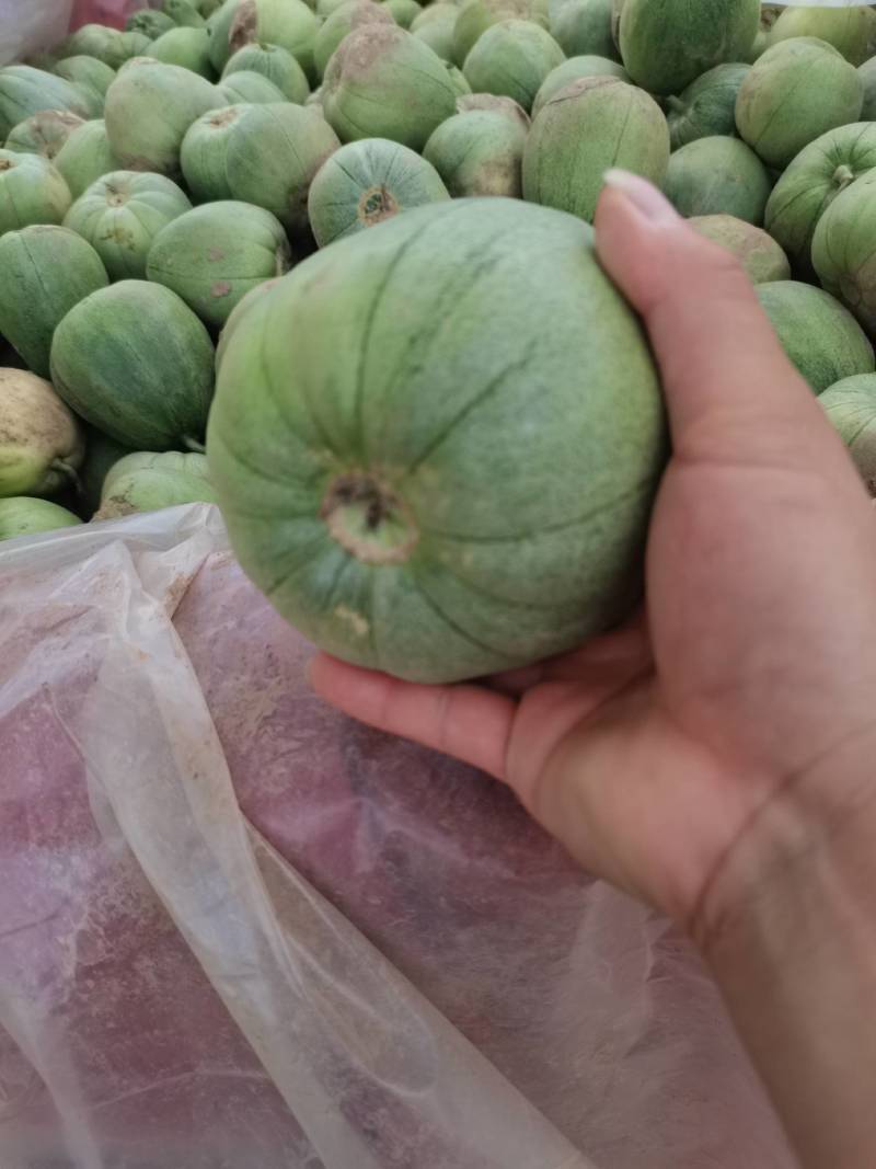 湖北宜昌甜宝甜瓜大量上市中，口感精品甜度，对接电商超市！