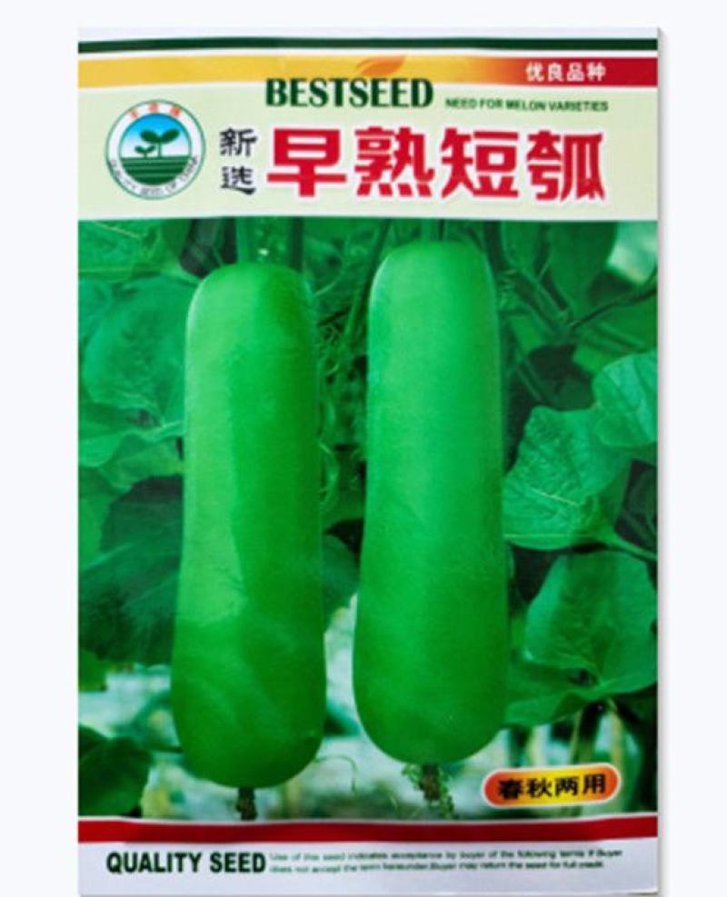 早生短棒瓠瓜种子短蒲瓜种籽甜瓠子瓜种菜葫芦短棒瓠子瓜春季