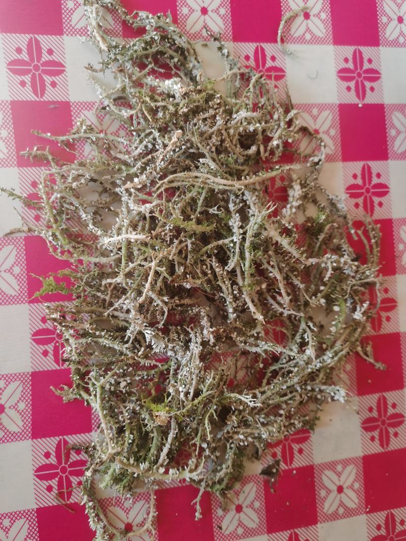 农副特色产品、鹿角菜，甘肃高山产，手工挑选