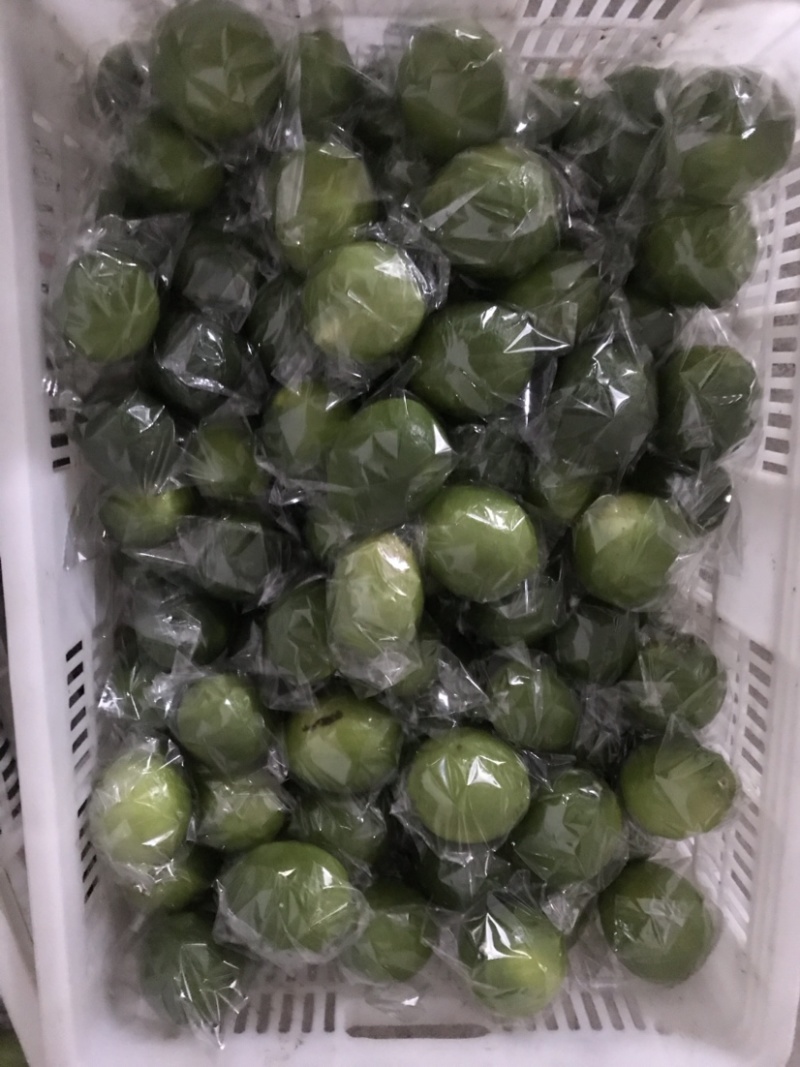塔希提无籽青柠檬，皮薄多汁新鲜采摘支持一件代发