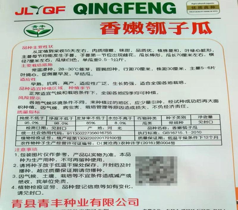 早熟长瓠瓜种春秋季瓠子瓜籽蒲瓜菜葫芦籽庭院爬藤菜种子蔬菜