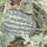 美都，8424，甘美皇，无籽的有籽的，全部有，精品通货