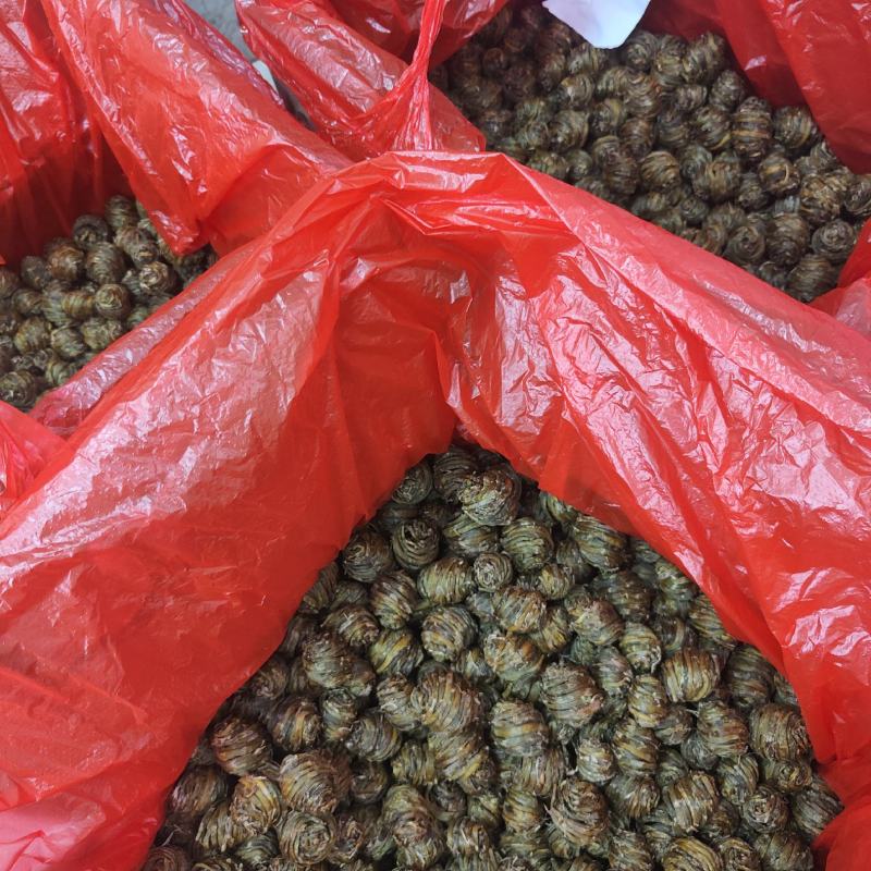 空心虫石斛虫斛石斛胶质好味道香石斛中的高端货