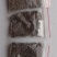 轻木种子百色木种子2022年新种子速生，不耐寒