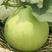 圆瓠瓜种子苹果瓠子瓜种籽春夏季早熟葫芦瓜种籽庭院农家蔬菜