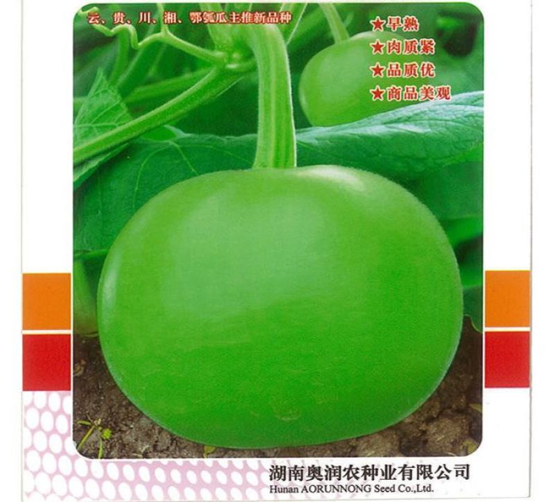 圆瓠瓜种子苹果瓠子瓜种籽春夏季早熟葫芦瓜种籽庭院农家蔬菜