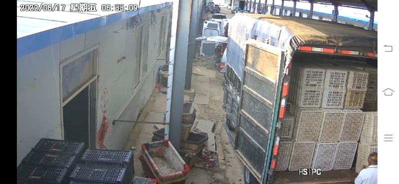 济南优质贝贝基地口感爆棚10个糖当天现货