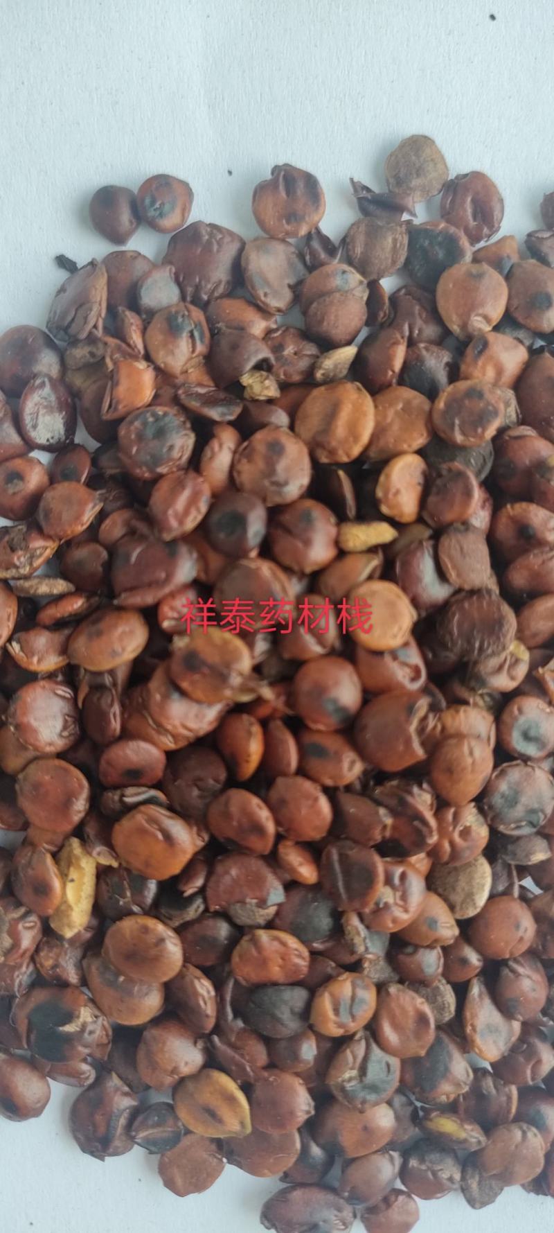 （热销）炒枣仁进口枣仁实物拍摄大量货源祥泰药材栈中药材