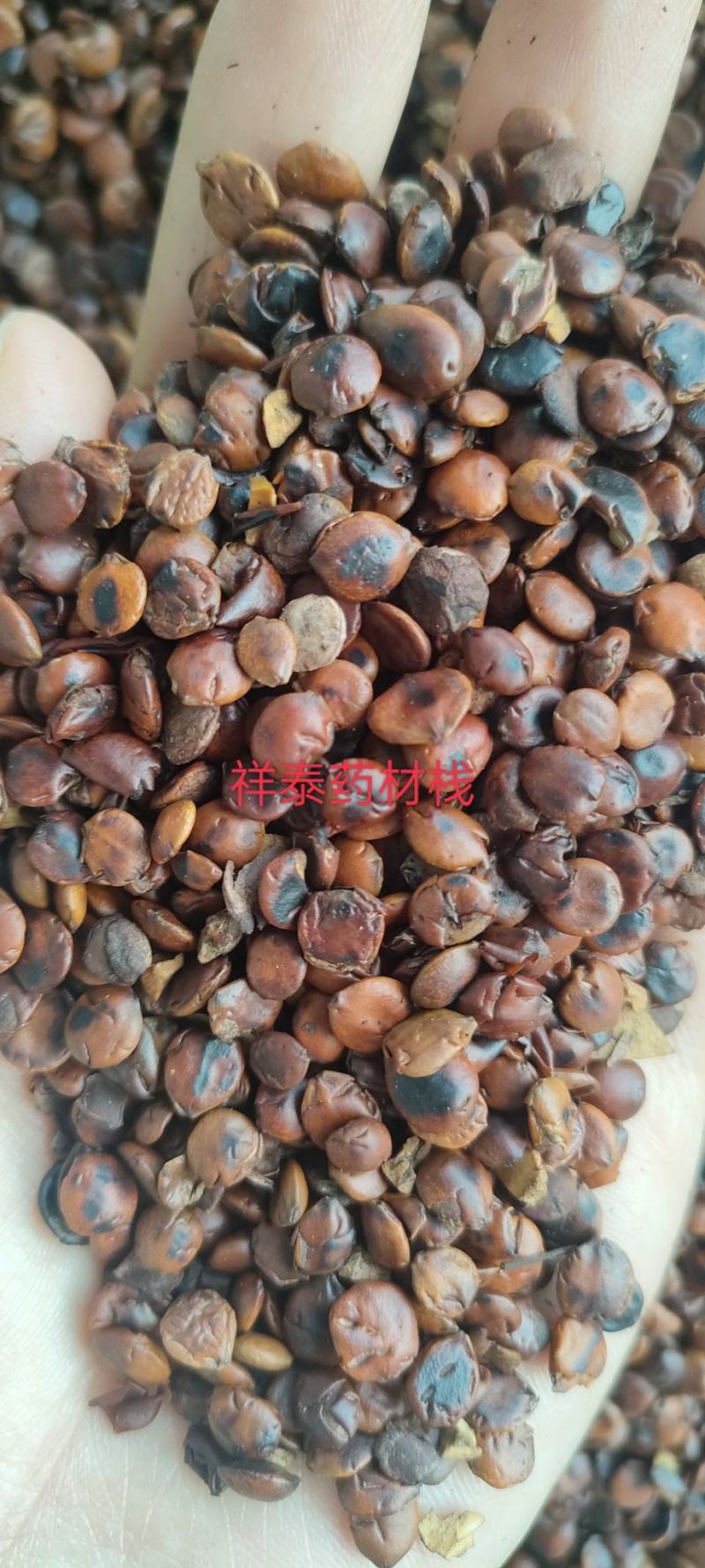 （热销）炒枣仁进口枣仁实物拍摄大量货源祥泰药材栈中药材