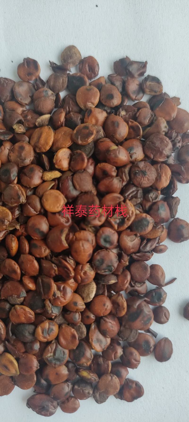 （热销）炒枣仁进口枣仁实物拍摄大量货源祥泰药材栈中药材