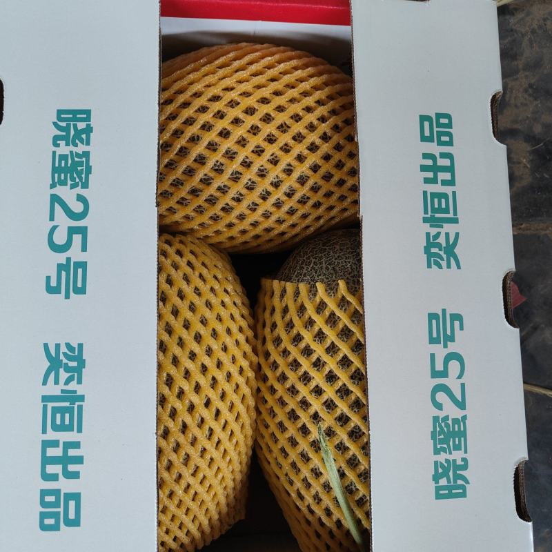 哈密瓜
