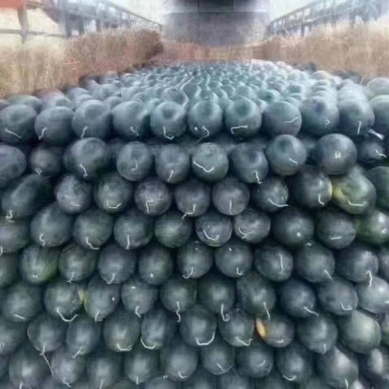 黑美人西瓜，美都，石头瓜，8424大量有货，欢迎来电！！