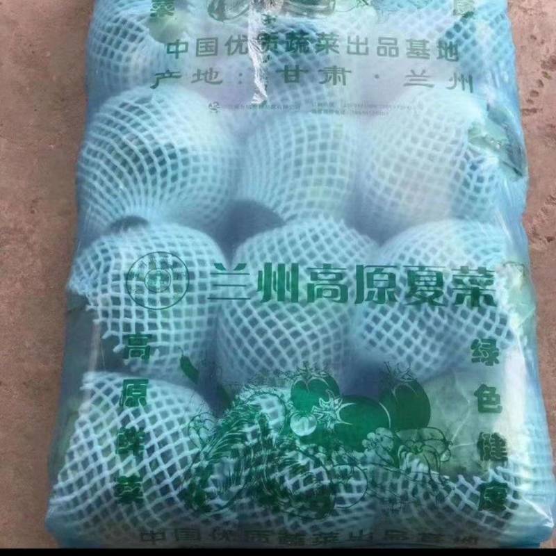兰州圆包菜，甘蓝，甘蓝，甘蓝，甘蓝，甘蓝