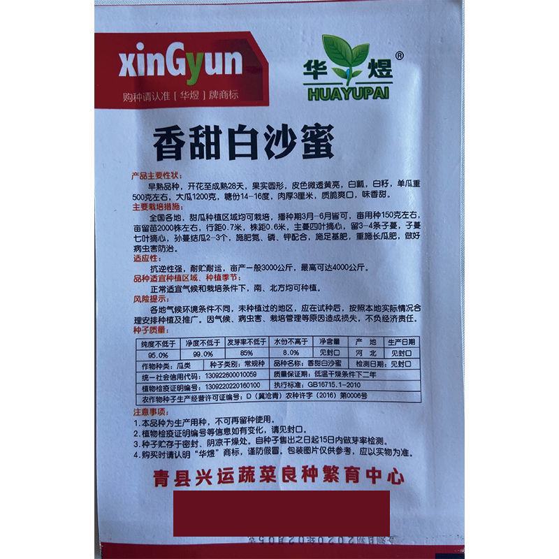 超甜白沙蜜甜瓜种籽日本甜瓜种子春秋季高产薄皮特大白皮香瓜
