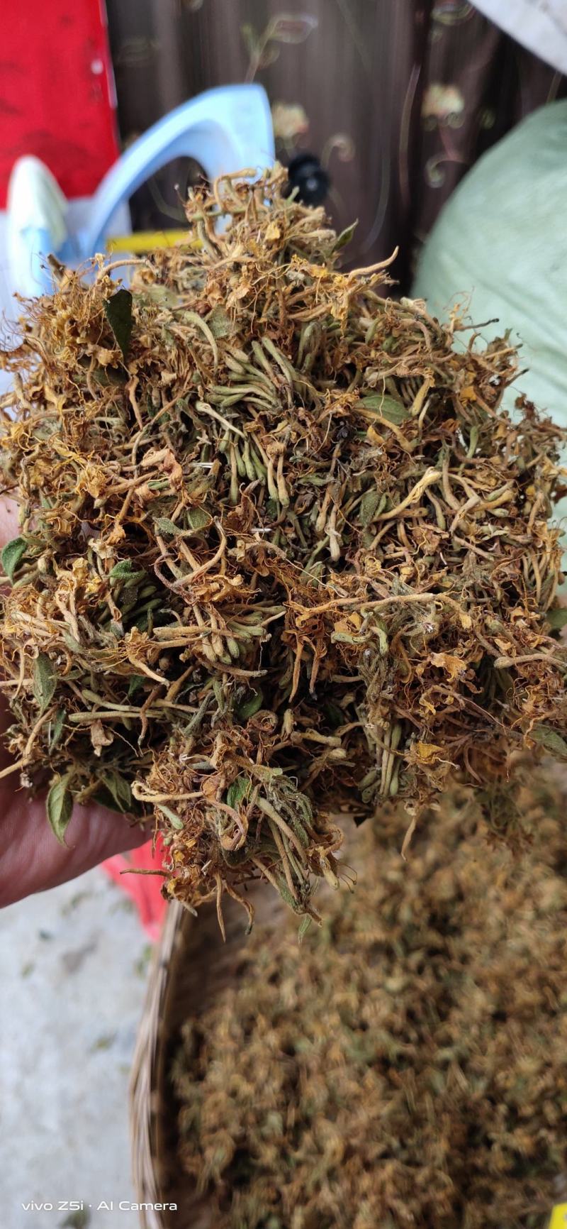 金银花，防城港市上思十万山金银花，常年有货