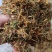 金银花，防城港市上思十万山金银花，常年有货