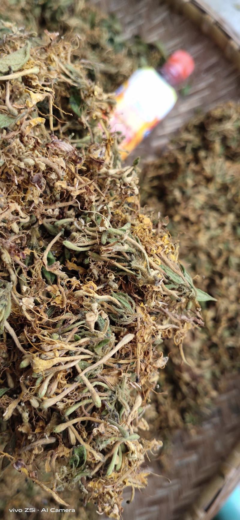 金银花，防城港市上思十万山金银花，常年有货