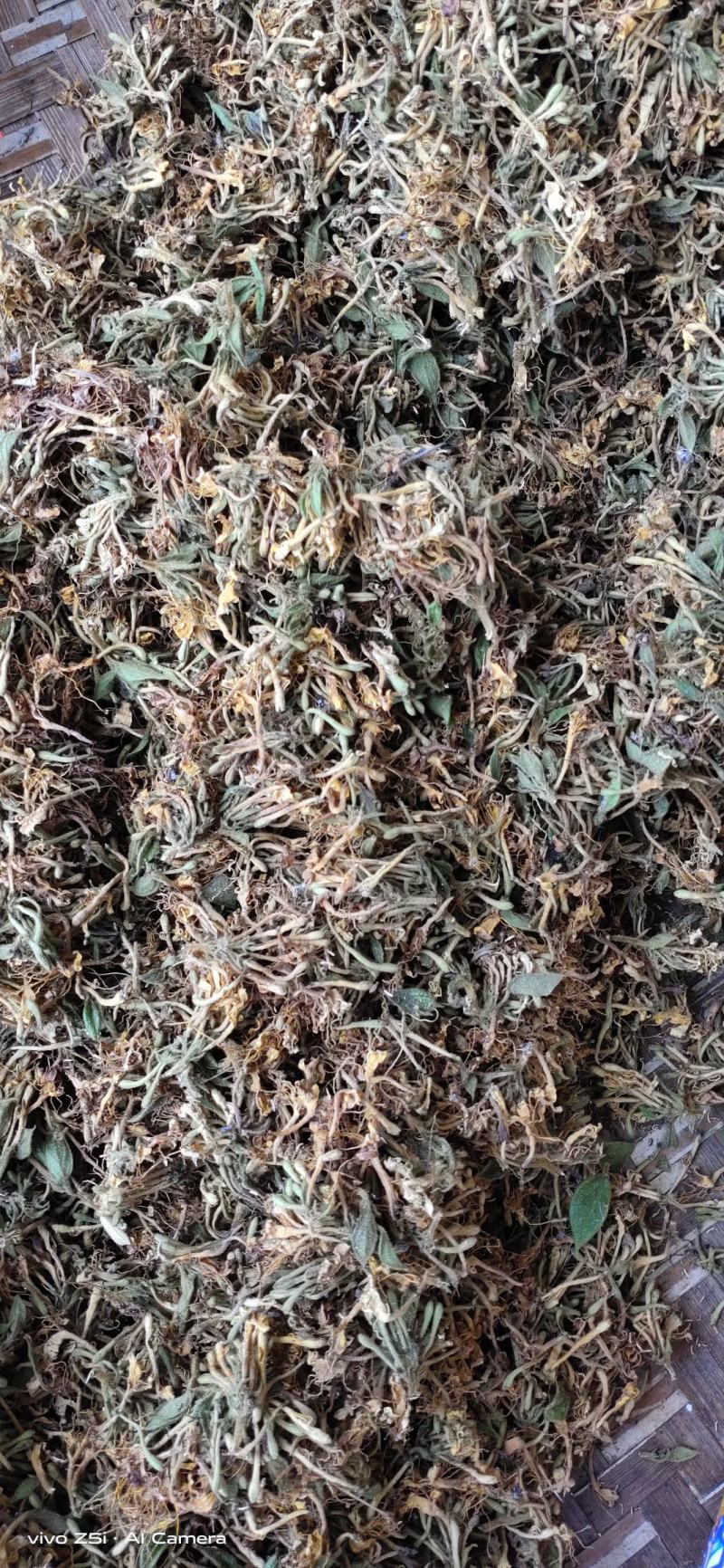 金银花，防城港市上思十万山金银花，常年有货