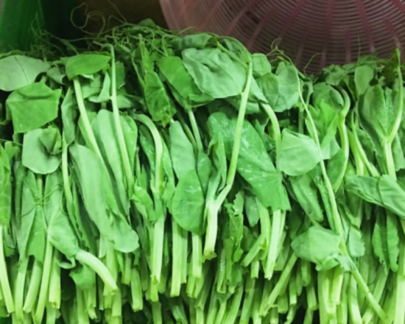 豌豆苗