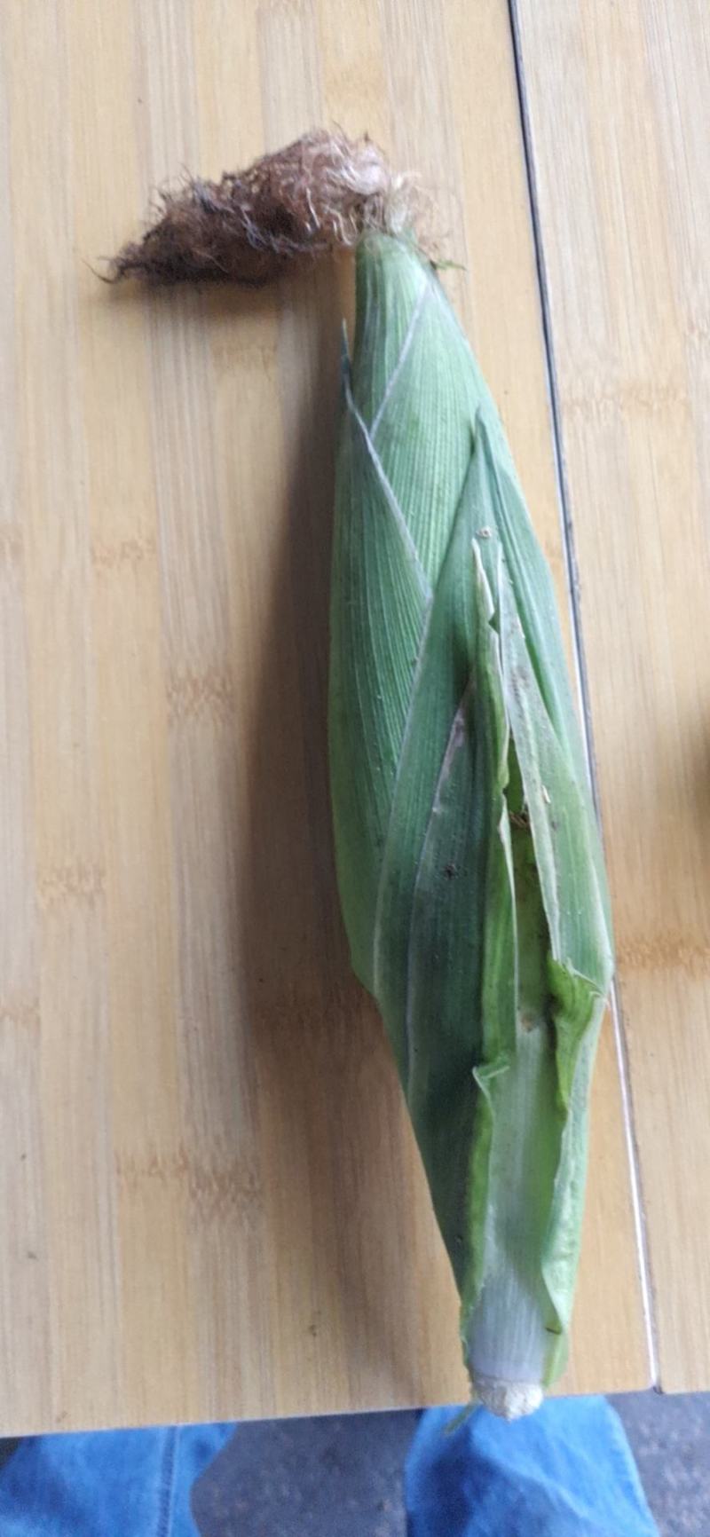 大量供应市场糯玉米，颗粒饱满