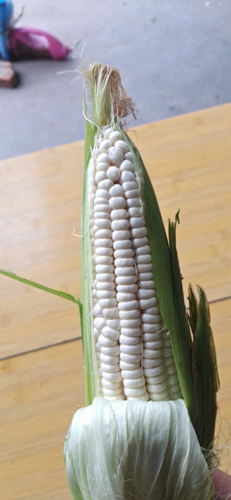 大量供应市场糯玉米，颗粒饱满