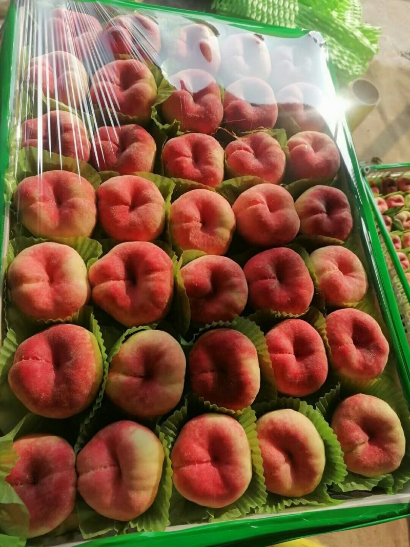 蟠桃