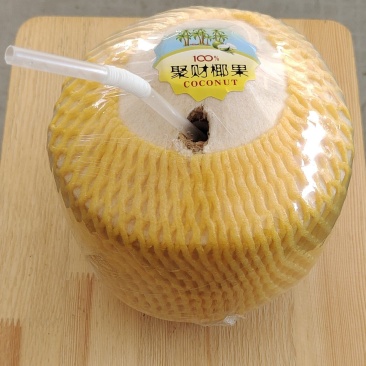 椰青单果3斤左右