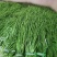 贡菜纯一级脱水贡菜贡菜新货苔干苔菜农家土特产