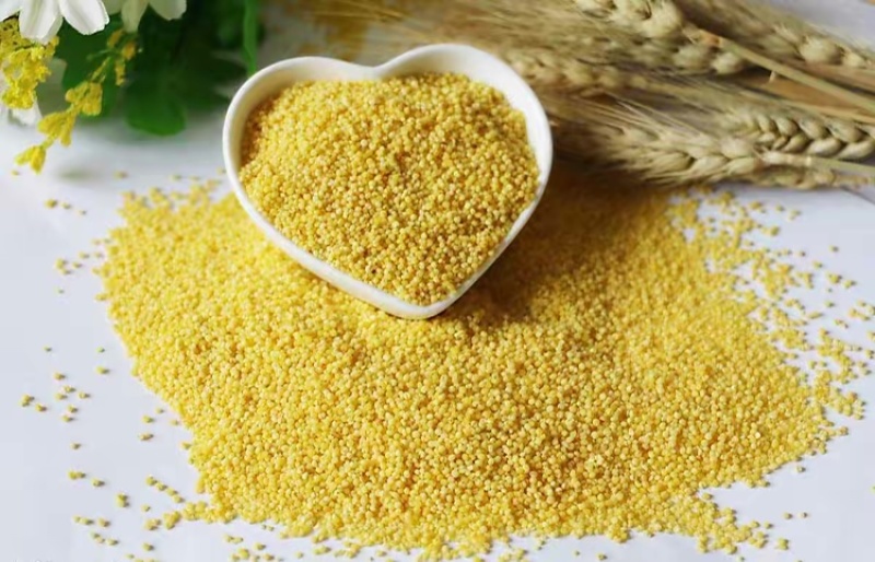 小米粉80-100目厂家直销质量有保障！