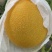 久红瑞甜瓜产地发量大从优欢迎全国老板前来考察洽谈合作