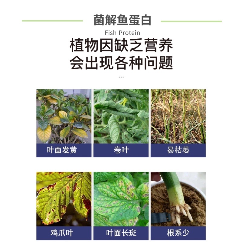纽罗兰叶喷鱼蛋白叶面肥氨基酸菌微量元素生根壮苗膨果瓜果