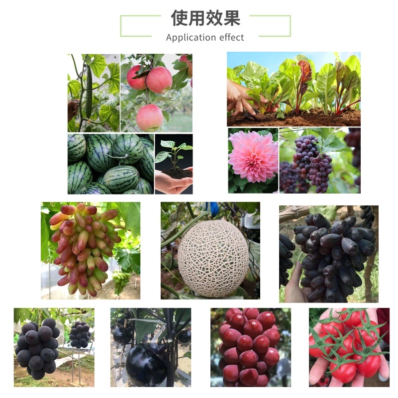 纽罗兰叶喷鱼蛋白叶面肥氨基酸菌微量元素生根壮苗膨果瓜果