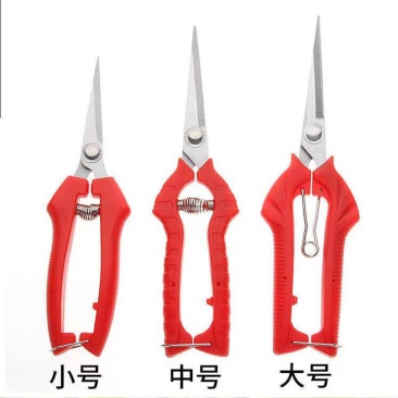 园艺修剪枝采果剪摘果剪花椒剪枸杞采摘工具果蔬剪刀花剪