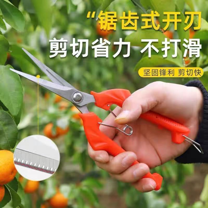 园艺修剪枝采果剪摘果剪花椒剪枸杞采摘工具果蔬剪刀花剪