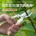 果树修枝剪刀园艺修剪树枝园林省力修花枝剪苹果梨子摘果不锈