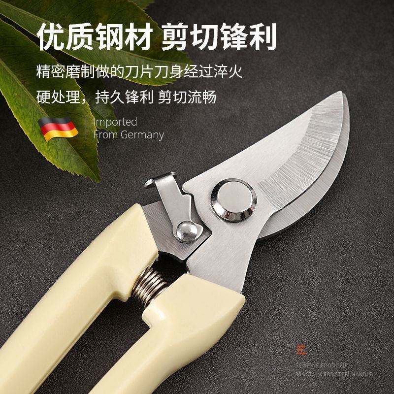 果树修枝剪刀园艺修剪树枝园林省力修花枝剪苹果梨子摘果不锈