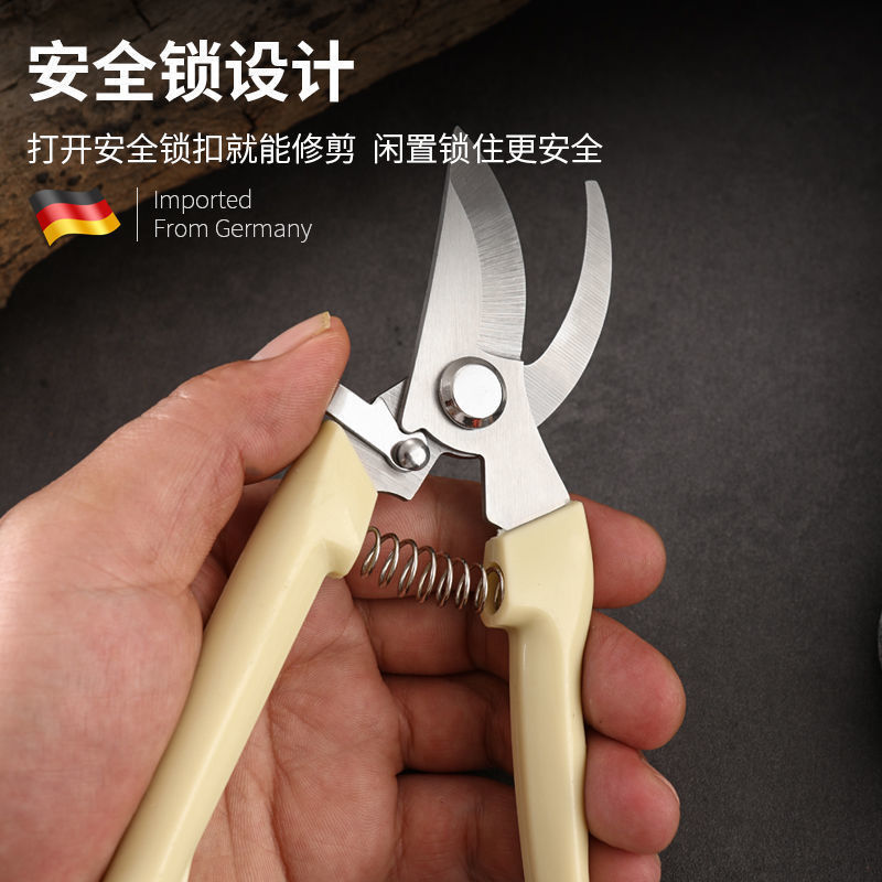果树修枝剪刀园艺修剪树枝园林省力修花枝剪苹果梨子摘果不锈