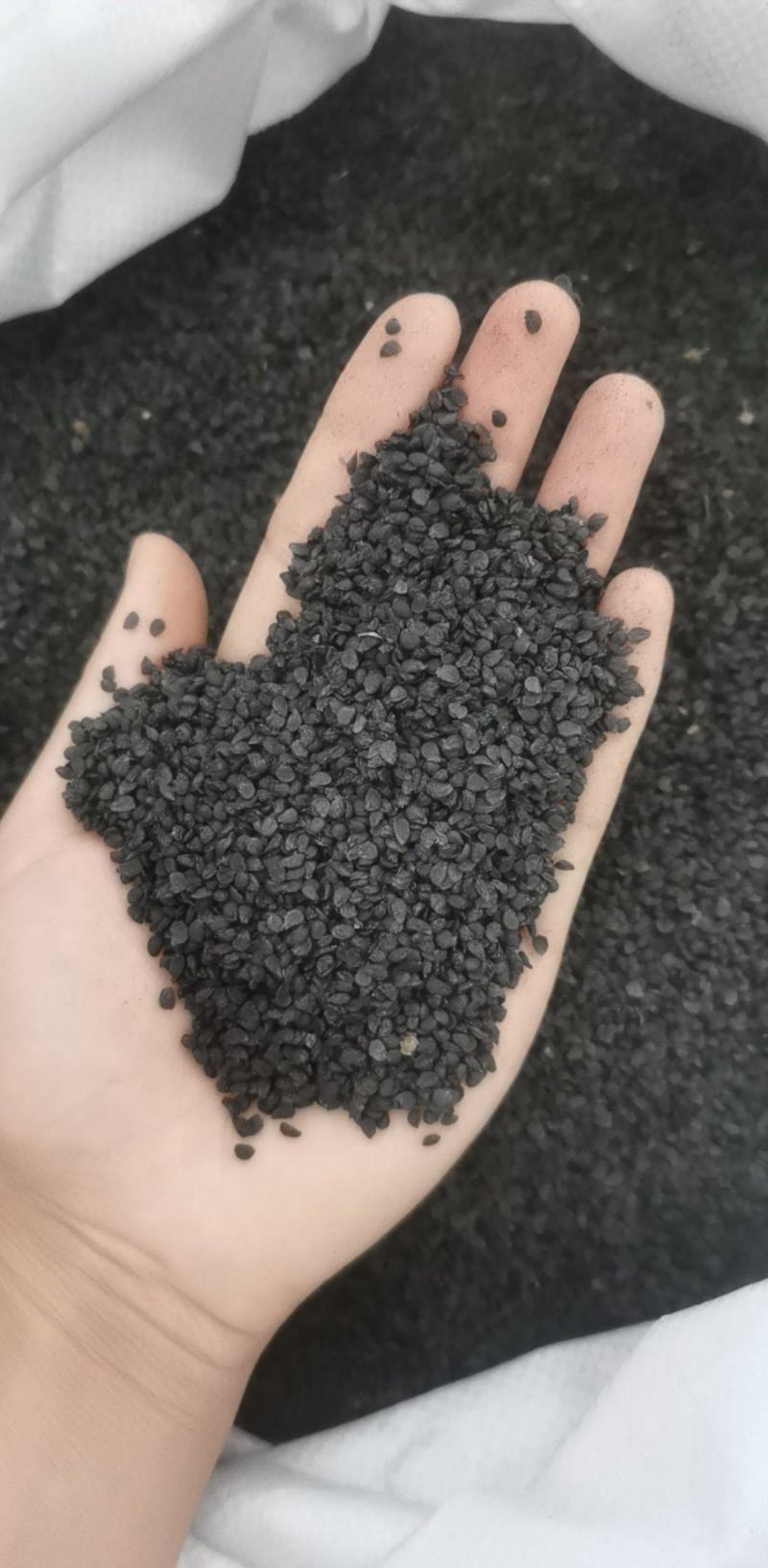 韭菜籽统装500g产地山东振兴药材购销站量大从优