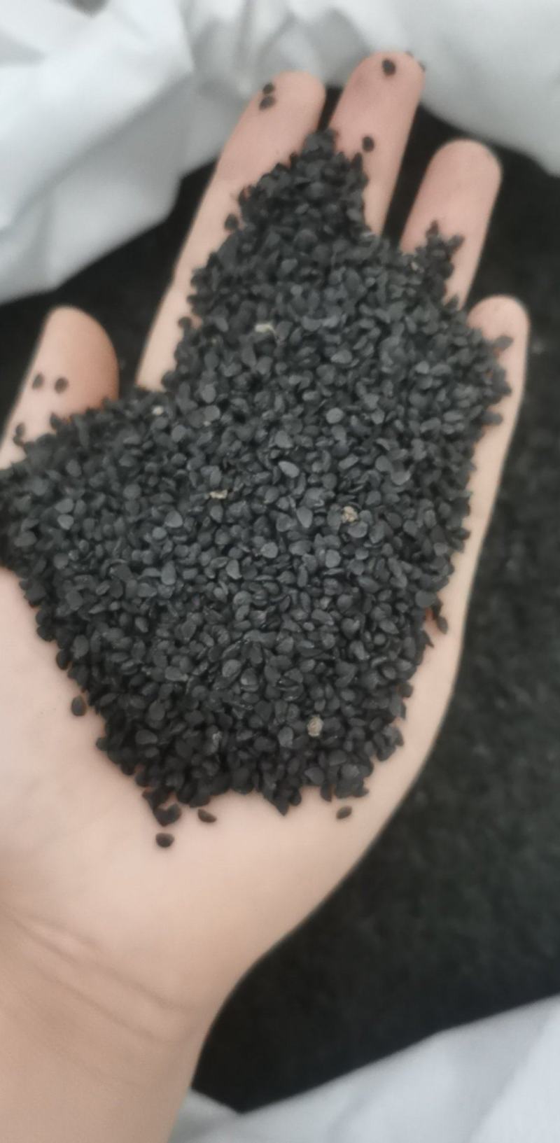 韭菜籽统装500g产地山东振兴药材购销站量大从优
