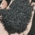 韭菜籽统装500g产地山东振兴药材购销站量大从优