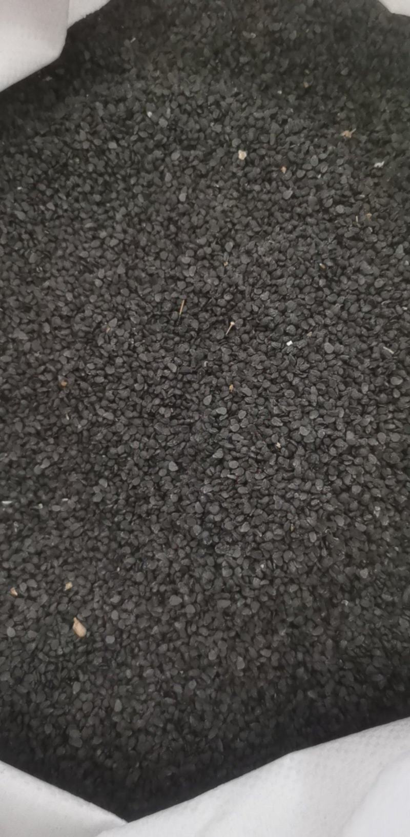 韭菜籽统装500g产地山东振兴药材购销站量大从优