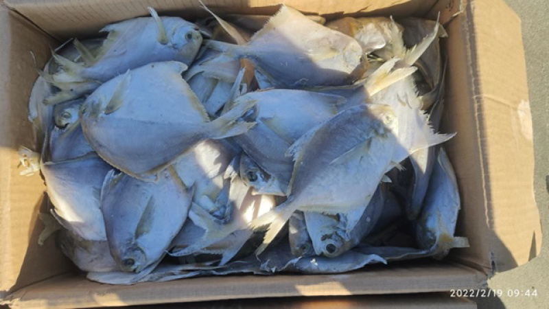 咸鱼平鱼鲳鱼银鲳鱼腌制咸鱼产地直发现货特价