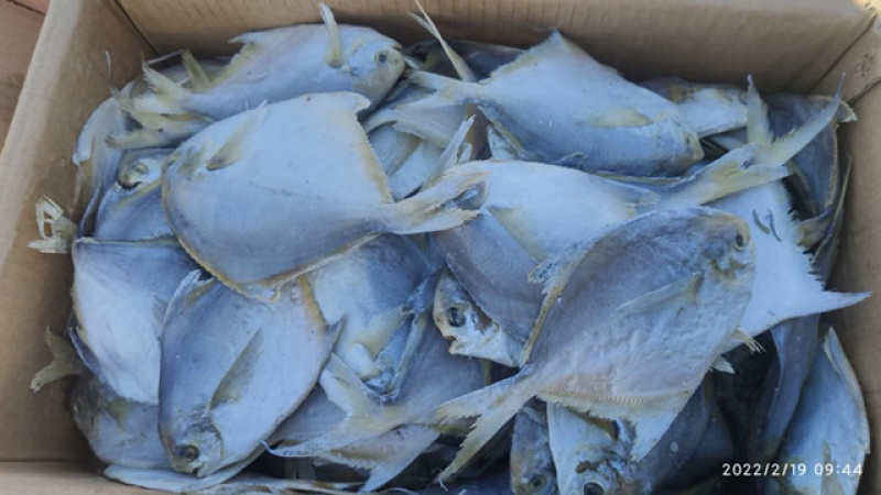 咸鱼平鱼鲳鱼银鲳鱼腌制咸鱼产地直发现货特价