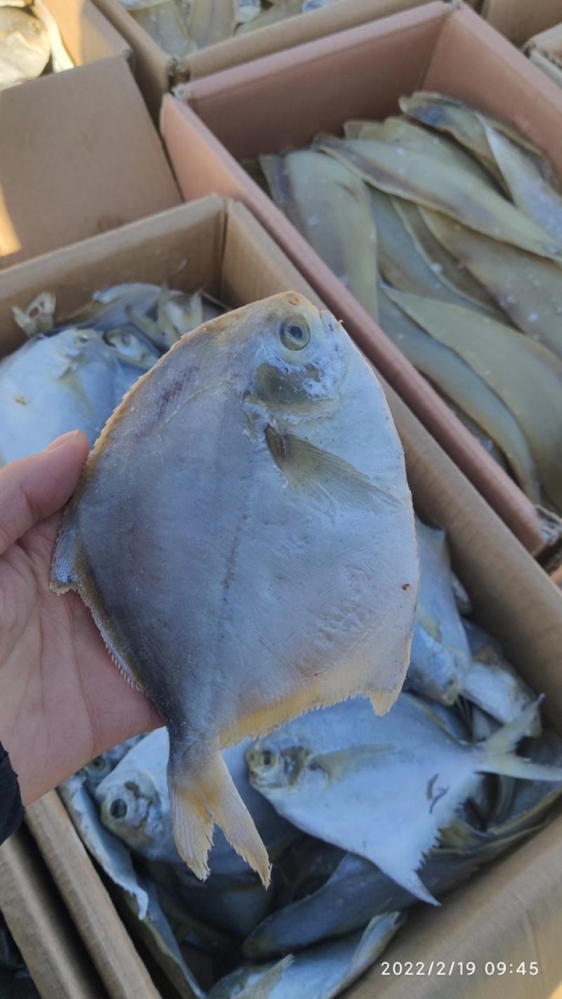 咸鱼平鱼鲳鱼银鲳鱼腌制咸鱼产地直发现货特价