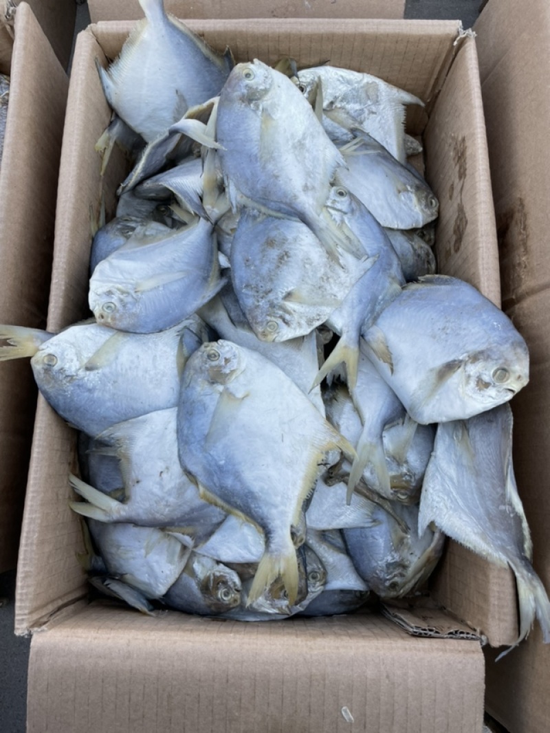 咸鱼平鱼鲳鱼银鲳鱼腌制咸鱼产地直发现货特价
