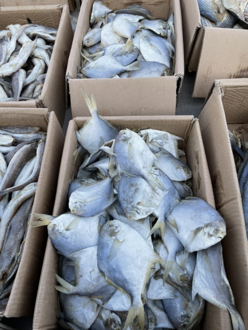 咸鱼平鱼鲳鱼银鲳鱼腌制咸鱼产地直发现货特价