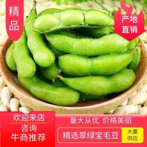 江苏现摘现发新鲜毛豆翠绿宝毛豆农家自种时令蔬菜蒸煮皆可