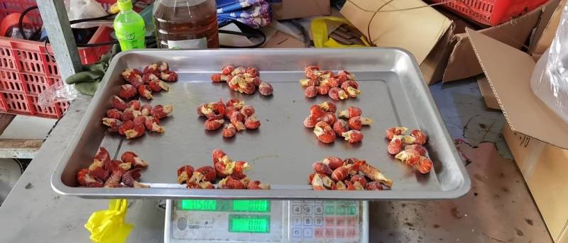 湖北特产单冻小龙虾虾尾无冰衣优质原料规格齐全
