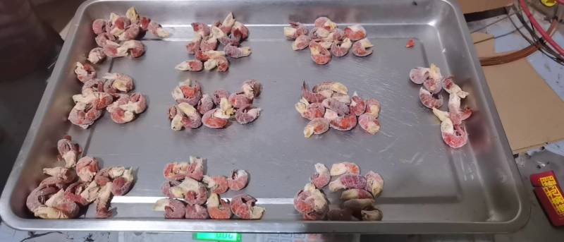 湖北特产单冻小龙虾虾尾无冰衣优质原料规格齐全